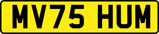 MV75HUM