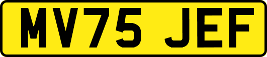 MV75JEF