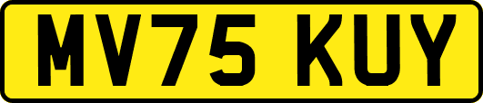 MV75KUY