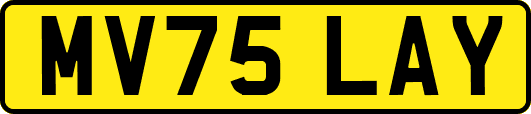 MV75LAY