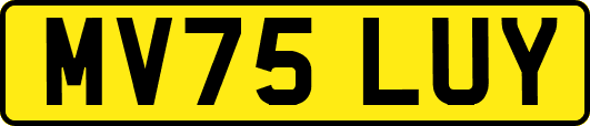 MV75LUY