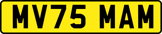 MV75MAM