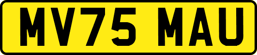 MV75MAU