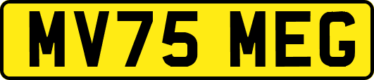 MV75MEG