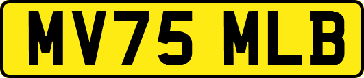 MV75MLB