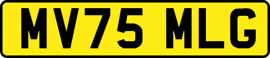 MV75MLG