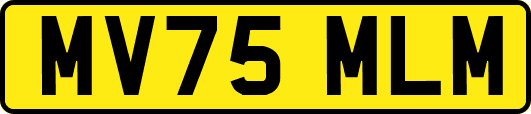 MV75MLM