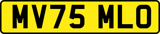 MV75MLO