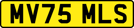 MV75MLS