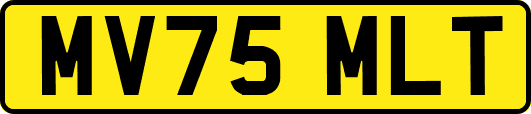 MV75MLT