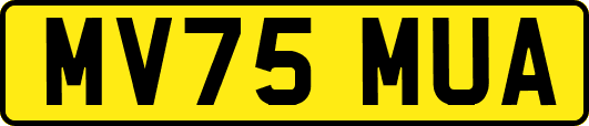 MV75MUA