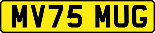 MV75MUG