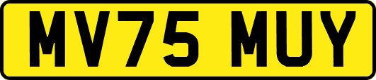 MV75MUY