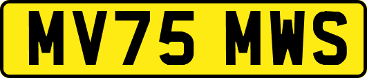 MV75MWS
