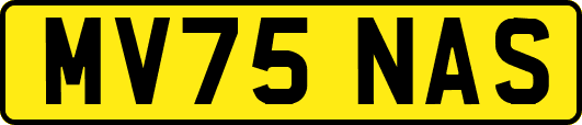 MV75NAS
