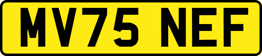 MV75NEF