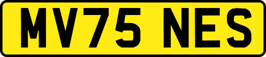 MV75NES