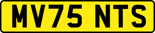 MV75NTS