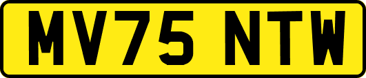 MV75NTW