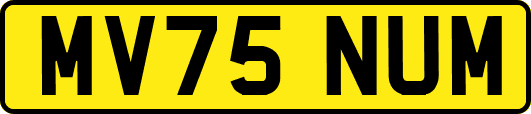 MV75NUM