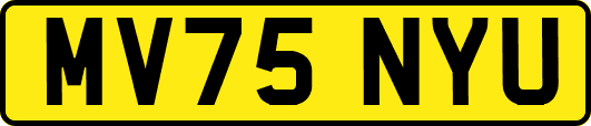 MV75NYU