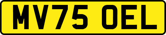 MV75OEL