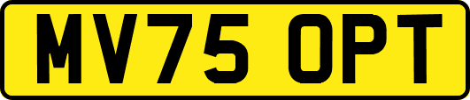 MV75OPT