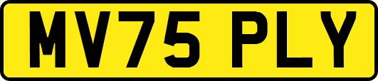 MV75PLY