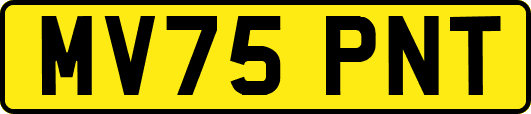MV75PNT