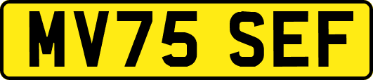 MV75SEF