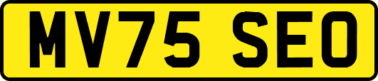 MV75SEO