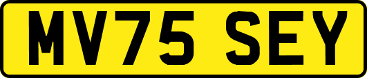 MV75SEY