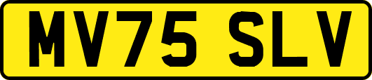 MV75SLV