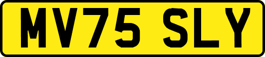 MV75SLY