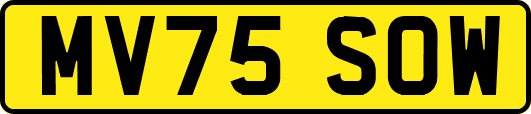 MV75SOW