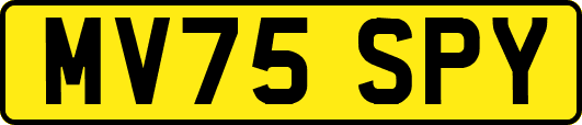 MV75SPY