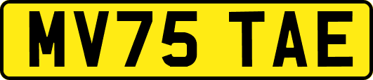 MV75TAE