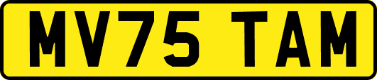 MV75TAM
