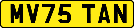 MV75TAN