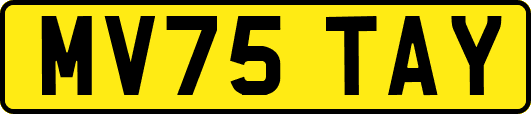 MV75TAY