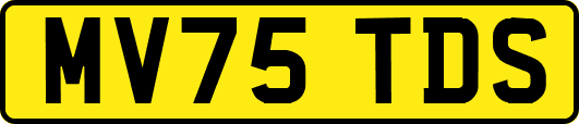 MV75TDS