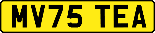 MV75TEA
