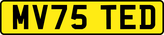 MV75TED