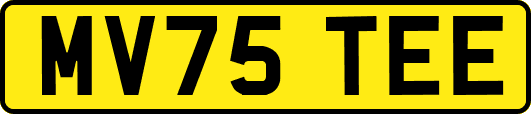 MV75TEE