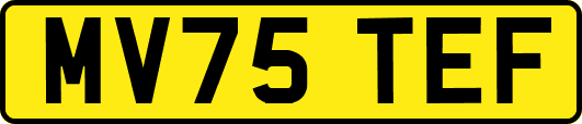 MV75TEF