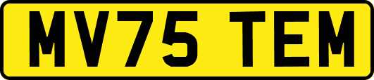 MV75TEM