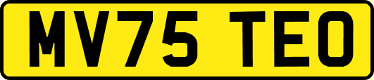 MV75TEO