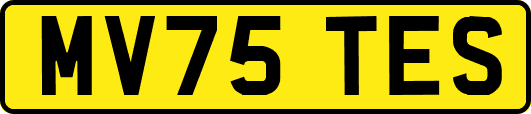 MV75TES