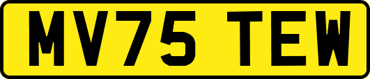 MV75TEW