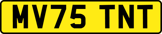 MV75TNT